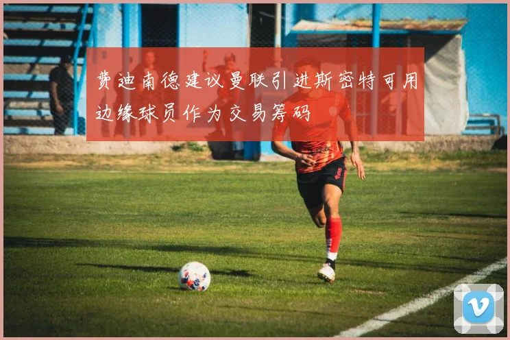 费迪南德建议曼联引进斯密特可用边缘球员作为交易筹码