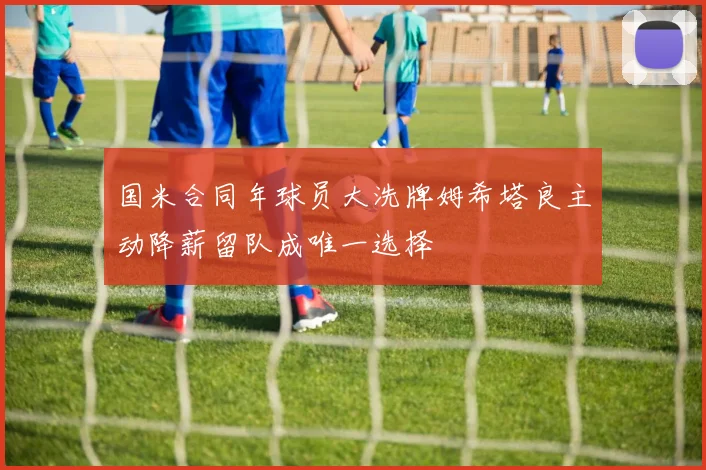 国米合同年球员大洗牌姆希塔良主动降薪留队成唯一选择